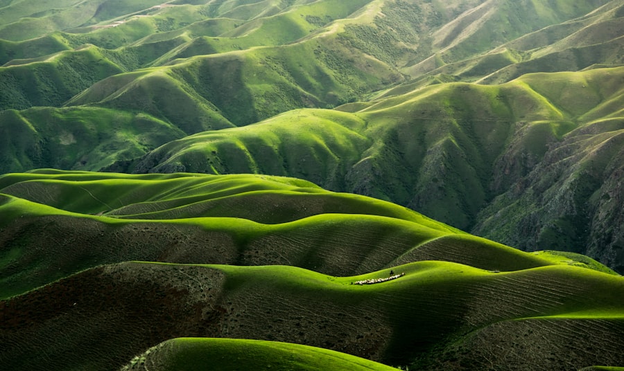 Aerial Vista