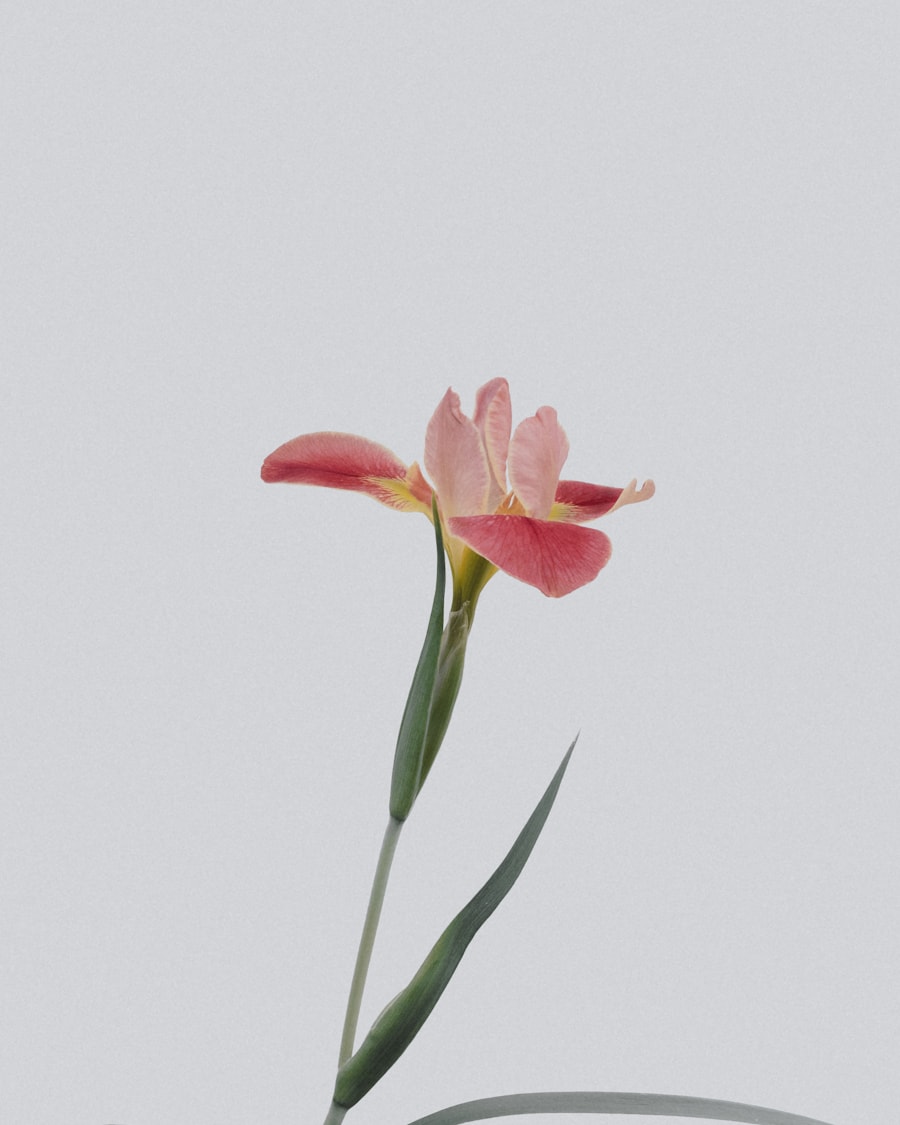Floral gallery